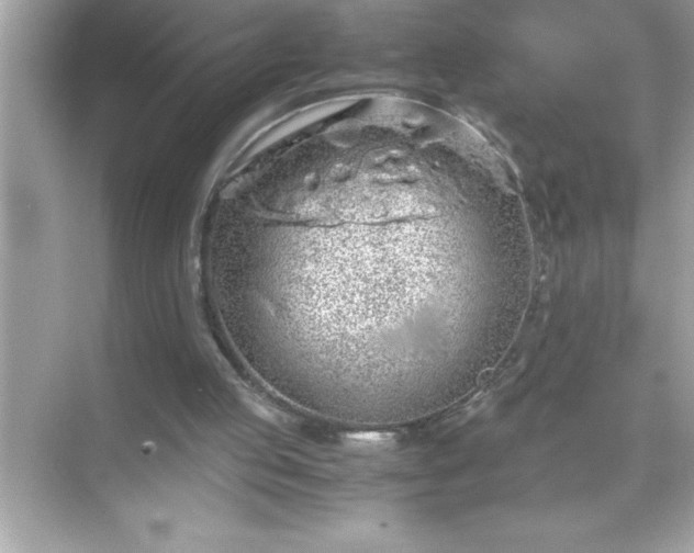 X0000071830053200607072220