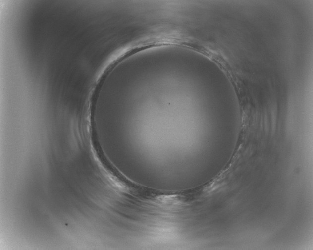 X0000071830054200607072220