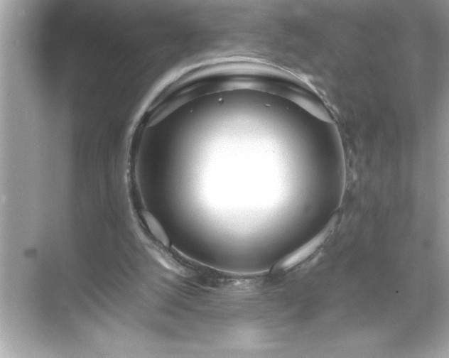 X0000071830056200607072220