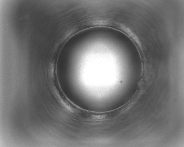 X0000071830057200607072220