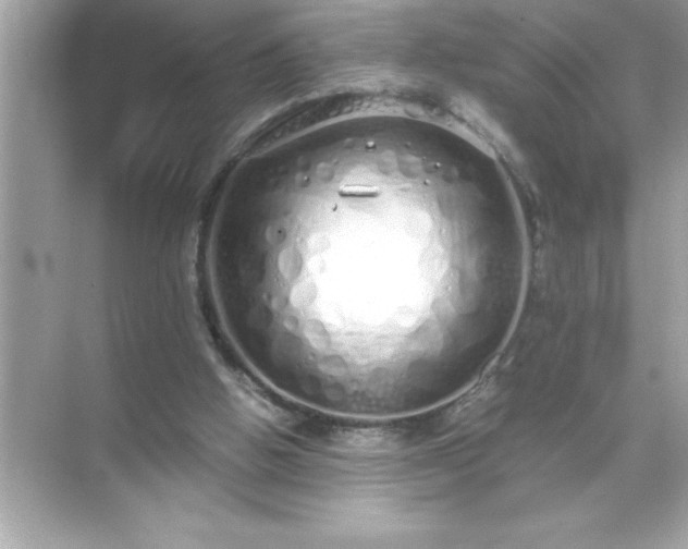 X0000071830058200607072220