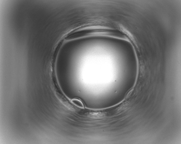 X0000071830059200607072220