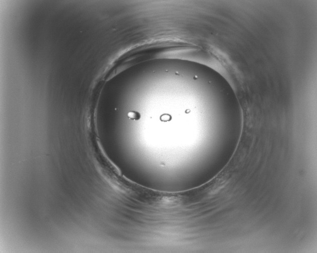 X0000071830060200607072220