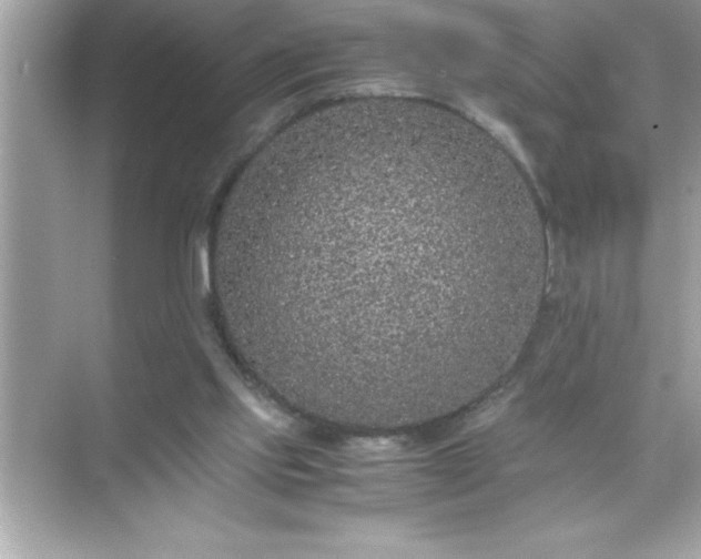 X0000071830061200607072220