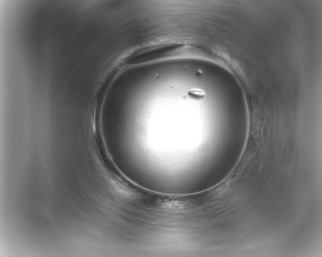 X0000071830062200607072220