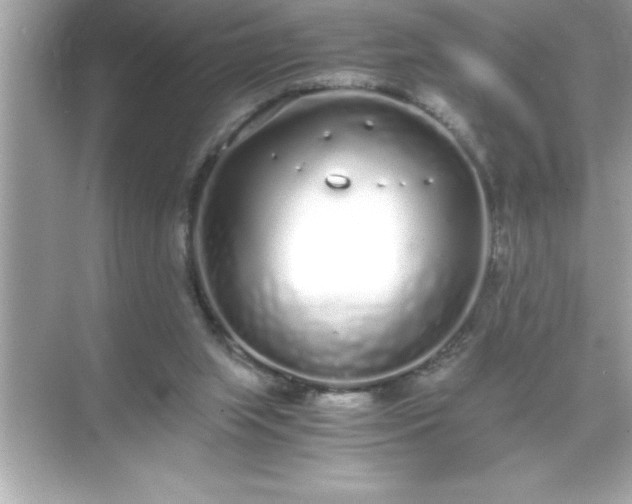 X0000071830063200607072220