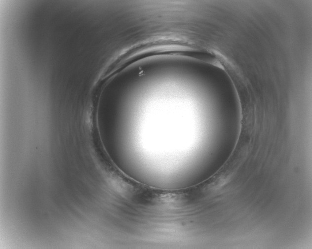 X0000071830064200607072220