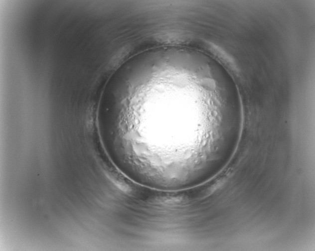 X0000071830065200607072220