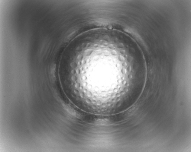 X0000071830066200607072220