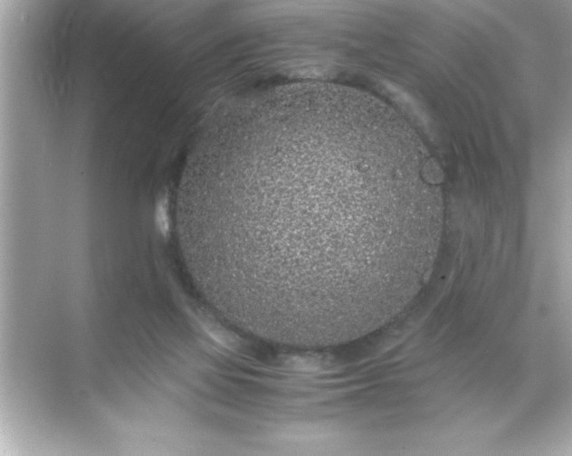 X0000071830069200607072220