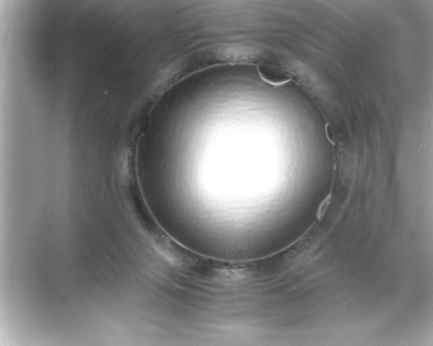 X0000071830071200607072220