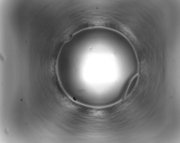 X0000071830073200607072220