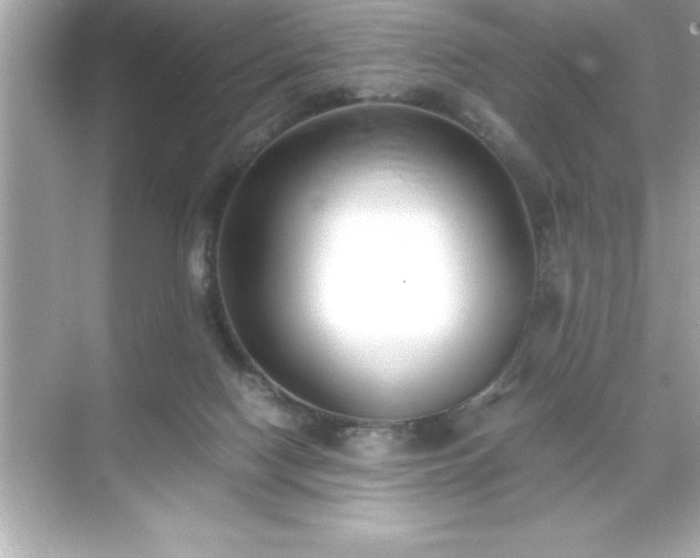 X0000071830074200607072220