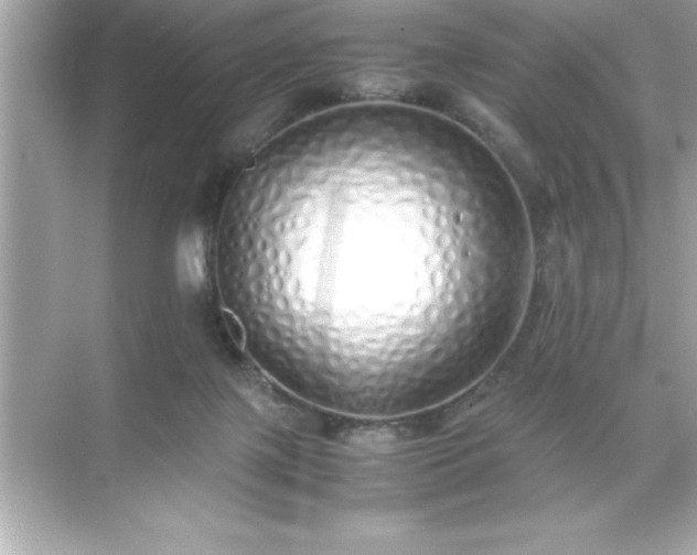 X0000071830075200607072220