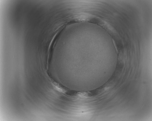 X0000071830076200607072221