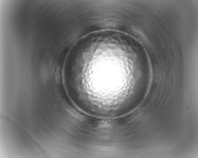 X0000071830077200607072221