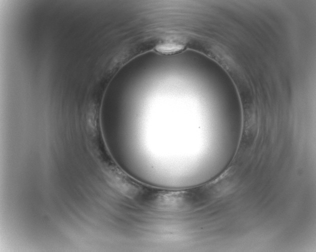 X0000071830078200607072221