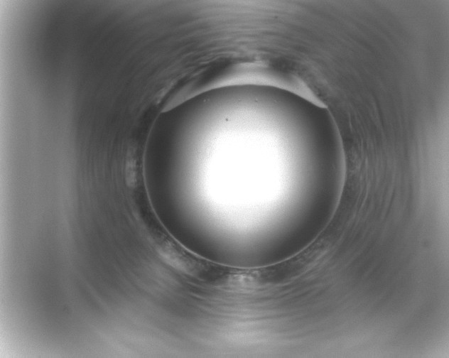 X0000071830080200607072221