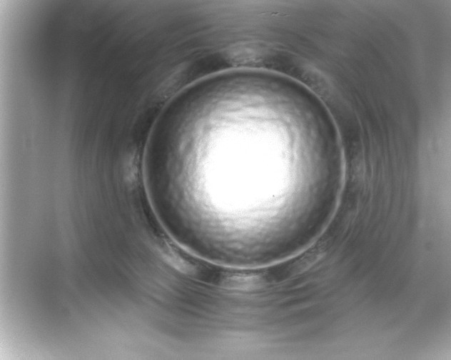 X0000071830081200607072221