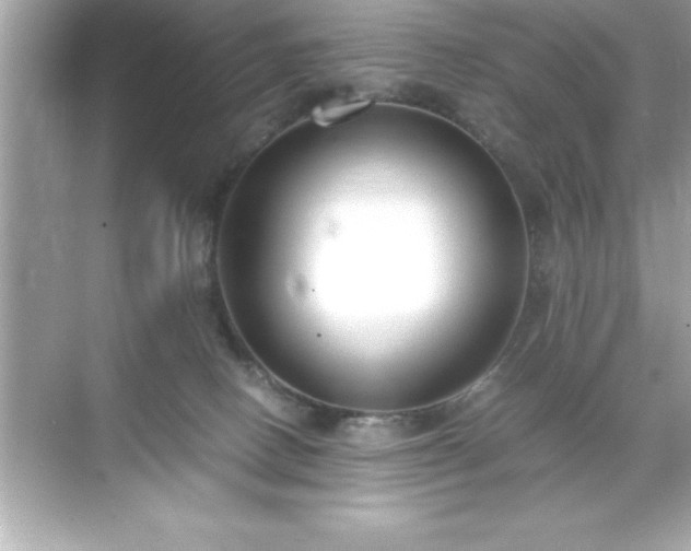 X0000071830082200607072221