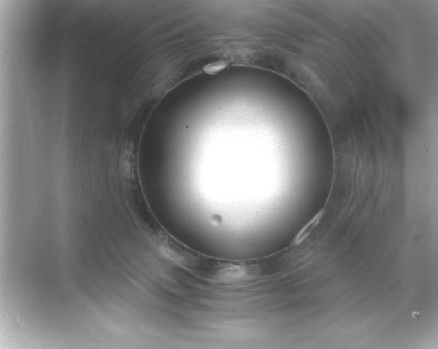 X0000071830083200607072221