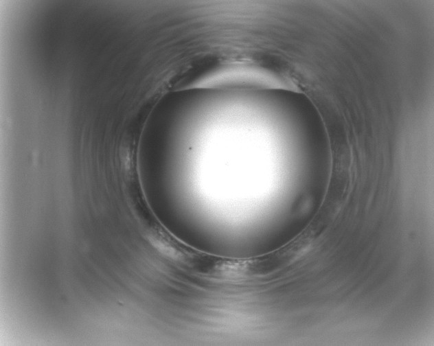 X0000071830084200607072221