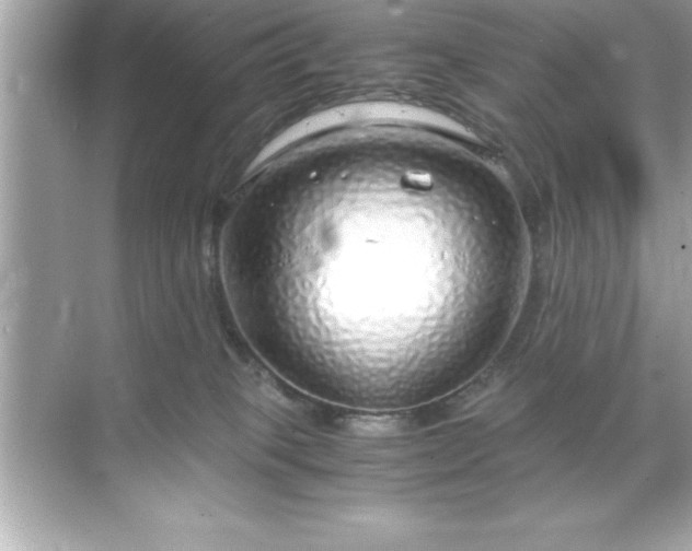 X0000071830085200607072221