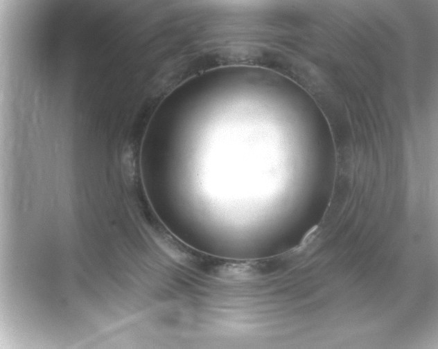 X0000071830086200607072221