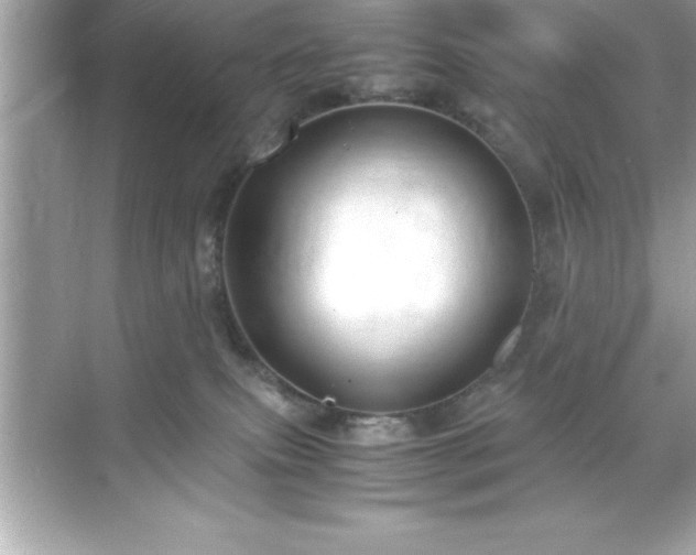 X0000071830087200607072221