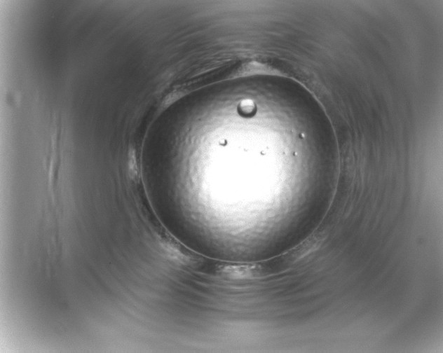 X0000071830089200607072221