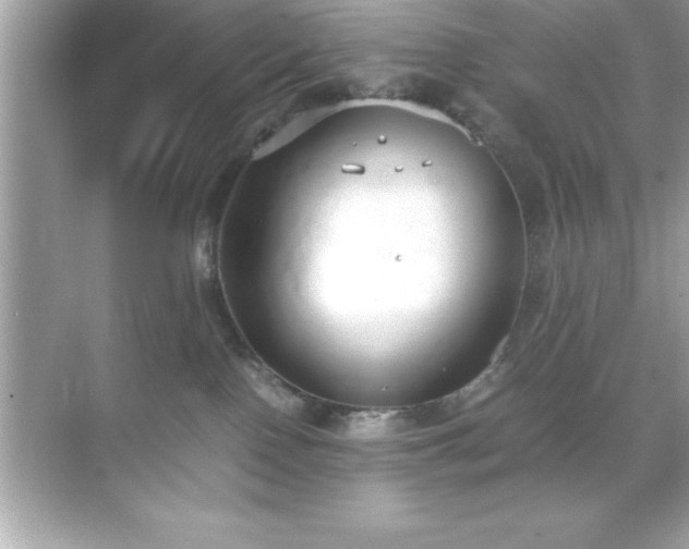 X0000071830090200607072221