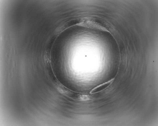 X0000071830091200607072221