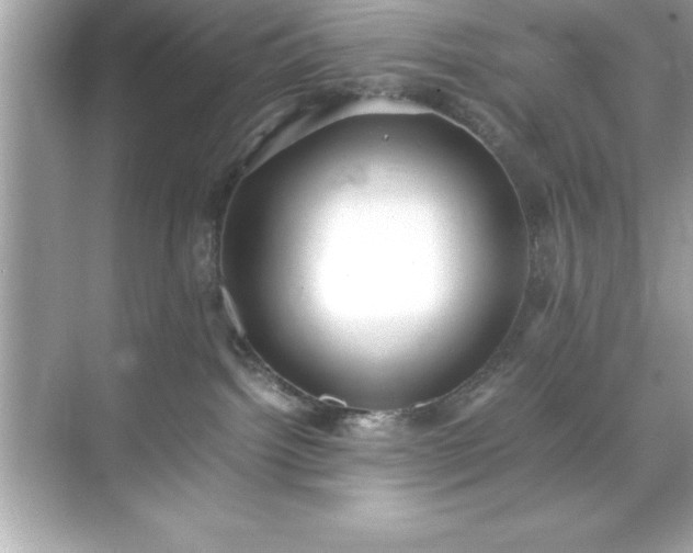 X0000071830092200607072221