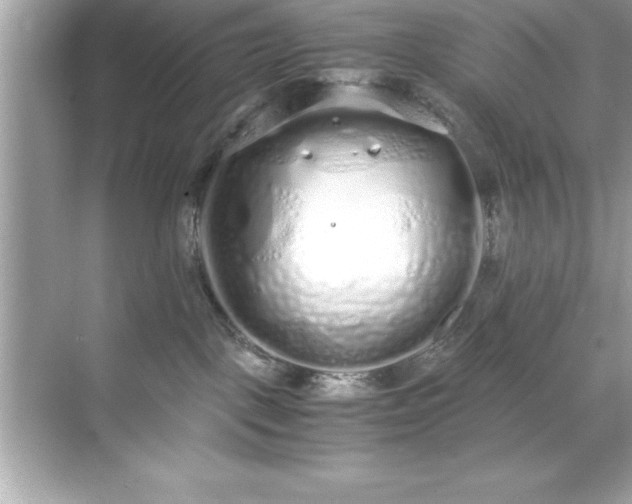 X0000071830093200607072221