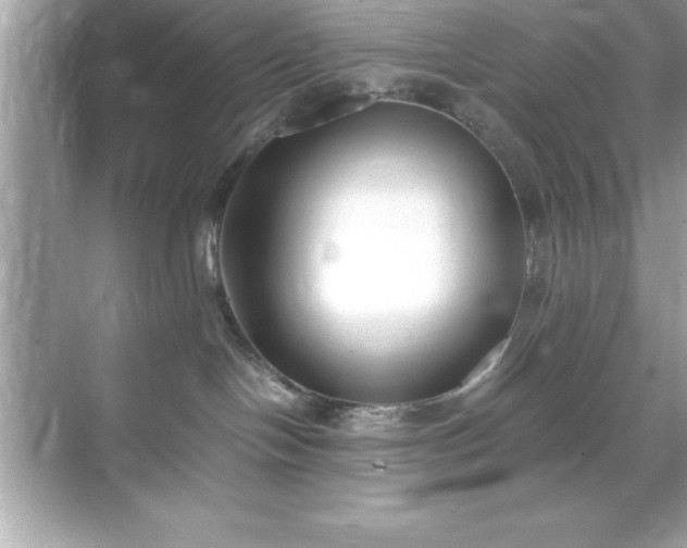 X0000071830094200607072221