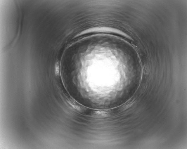 X0000071830095200607072221