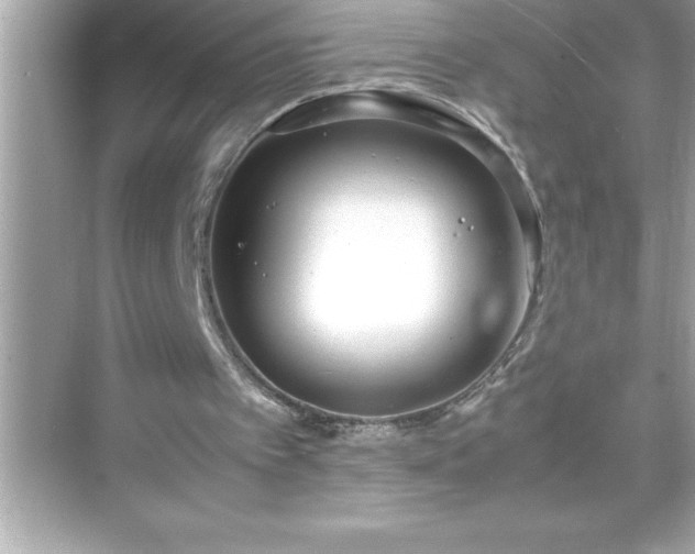 X0000071830097200607072220