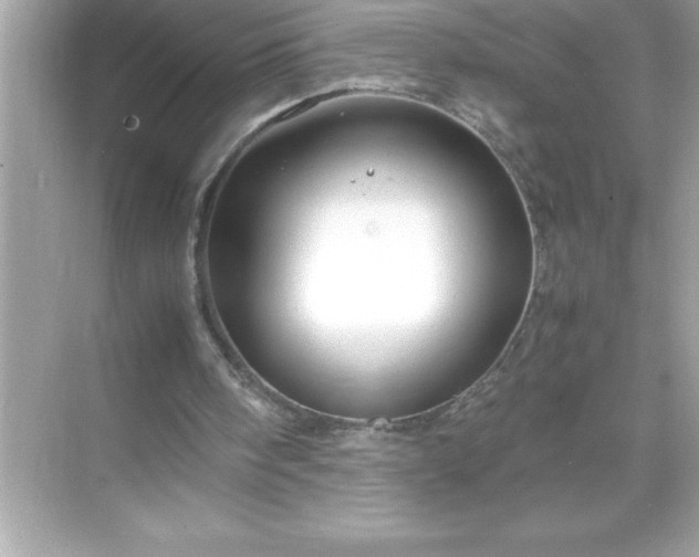 X0000071830098200607072220