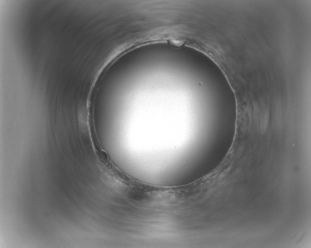 X0000071830100200607072220