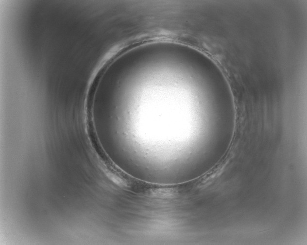 X0000071830102200607072220