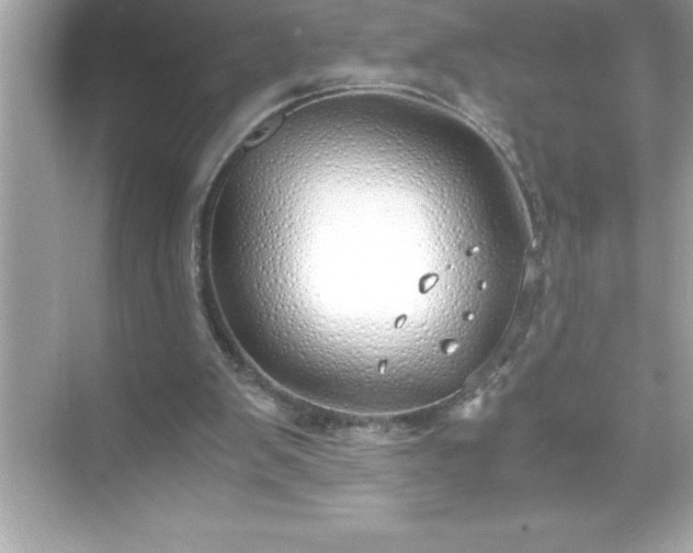 X0000071830103200607072220