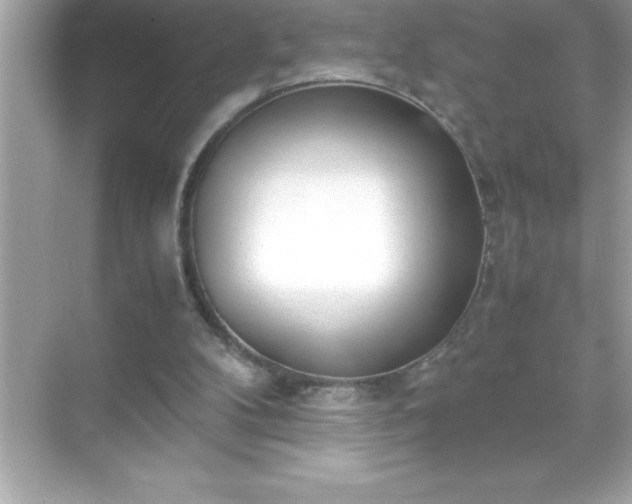 X0000071830104200607072220