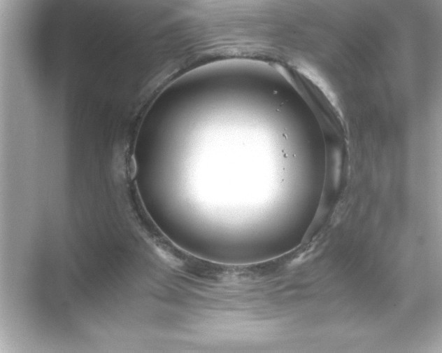 X0000071830105200607072220