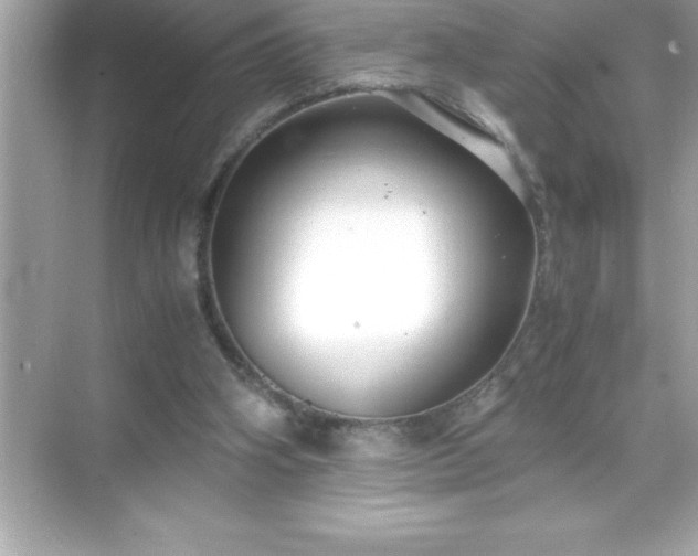 X0000071830106200607072220