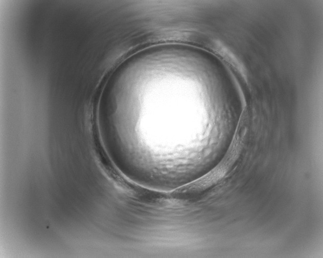 X0000071830107200607072220