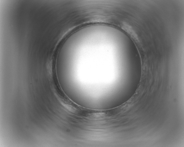 X0000071830108200607072220