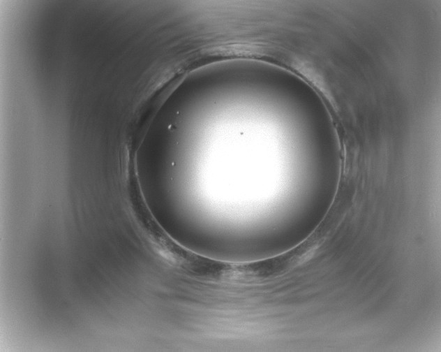 X0000071830109200607072220