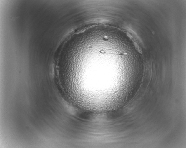 X0000071830110200607072220