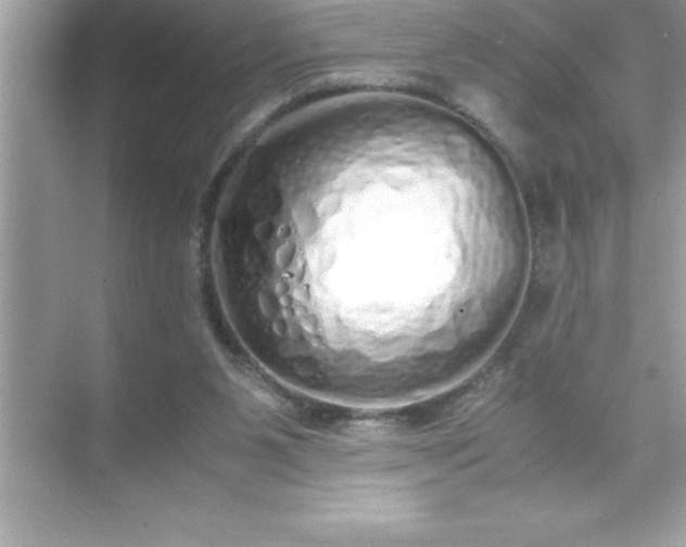 X0000071830111200607072220