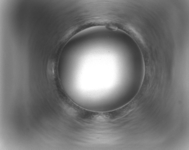 X0000071830115200607072220